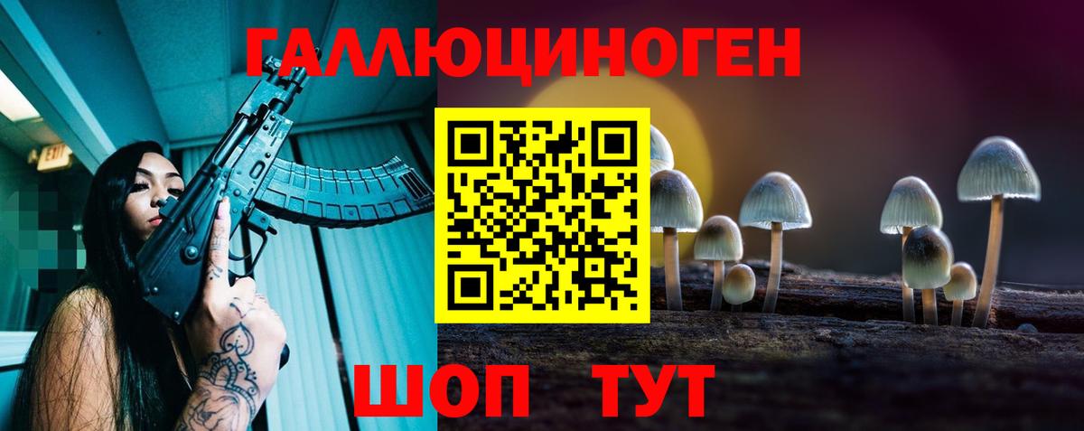 Псилоцибиновые грибы Psilocybine cubensis  как найти закладки  Нижнекамск  Галлюциногенные грибы GOLDEN TEACHER  Вход с VPN 