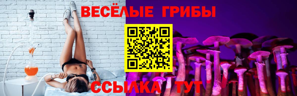 Псилоцибиновые грибы мицелий Нижнекамск